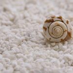 MSC: Mindfulness y Autocompasión - 8 Sesiones (Presencial y online)