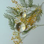 Iniciación al Mindfulness | 18 Sesiones (Presencial)