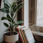 MSC - Área del alumno