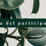 MBCT - Terapia Cognitiva Basada en Mindfulness - Área del alumno