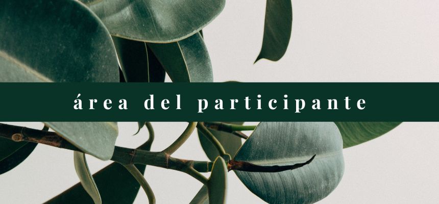 MBCT - Terapia Cognitiva Basada en Mindfulness - Área del alumno