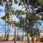 Retiro Junio 2024 - Área del participante