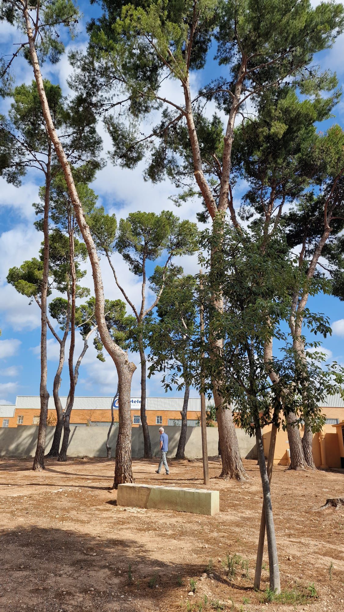 Retiro Junio 2024 - Área del participante